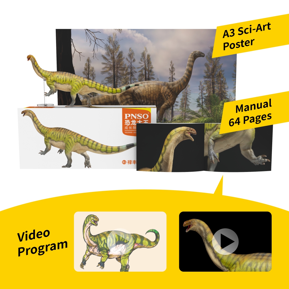 Modèles de dinosaures préhisto - Kids Toys Dinosaur avis et prix