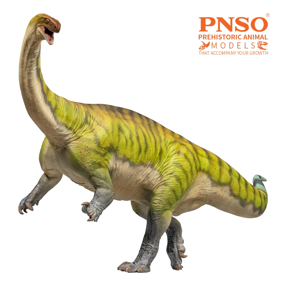 Modèles de dinosaures préhisto - Kids Toys Dinosaur avis et prix